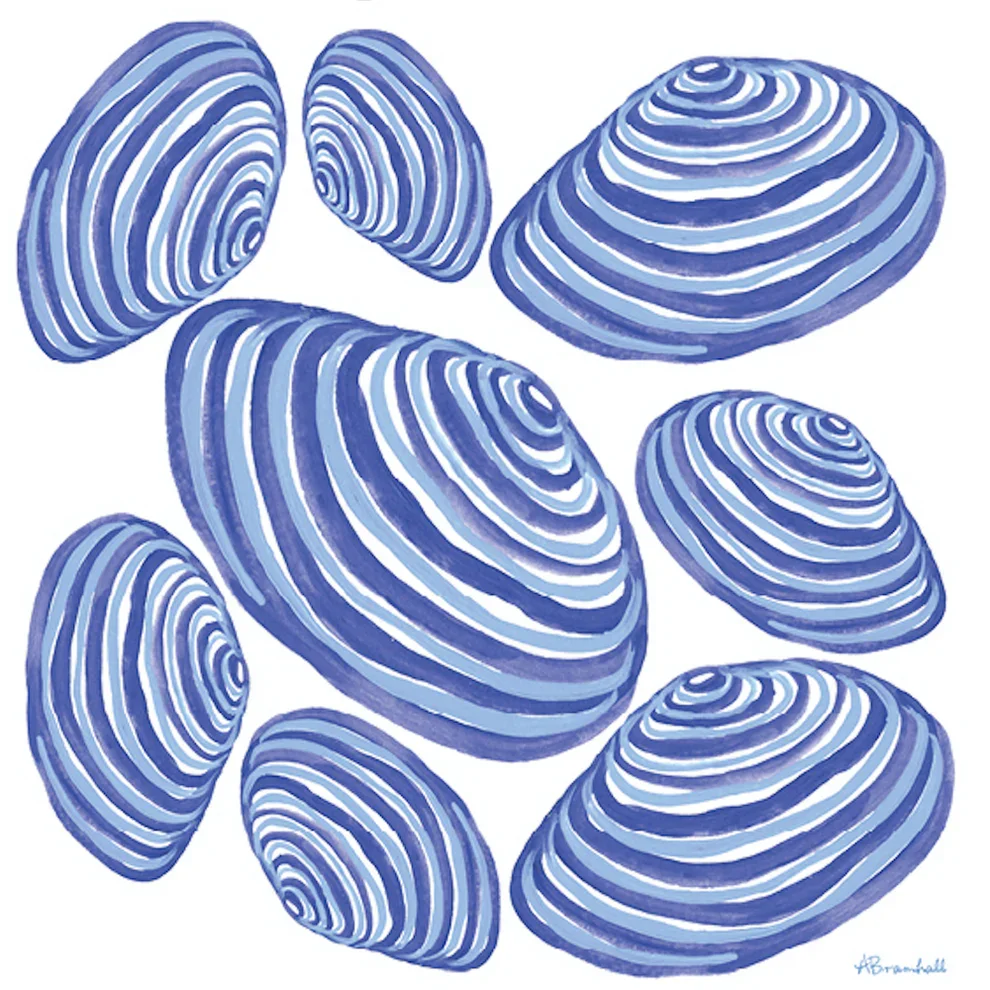 32508- Blue Clam Flour Sack Dish Towel- $26
