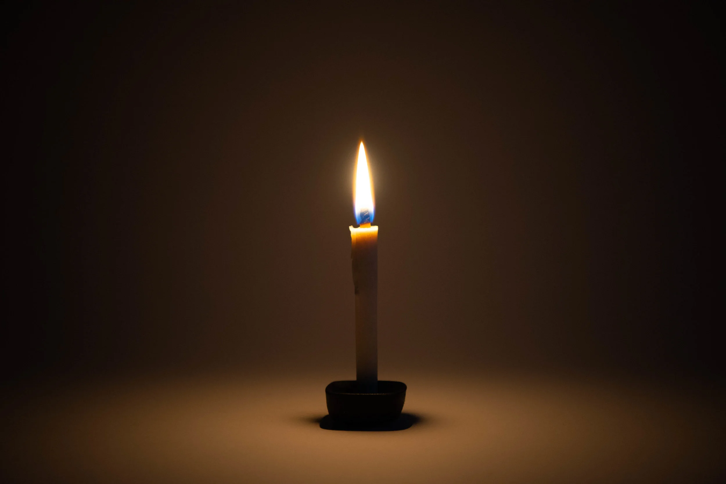 Native&Co-Japanese-Sumac-Candles-8.jpg