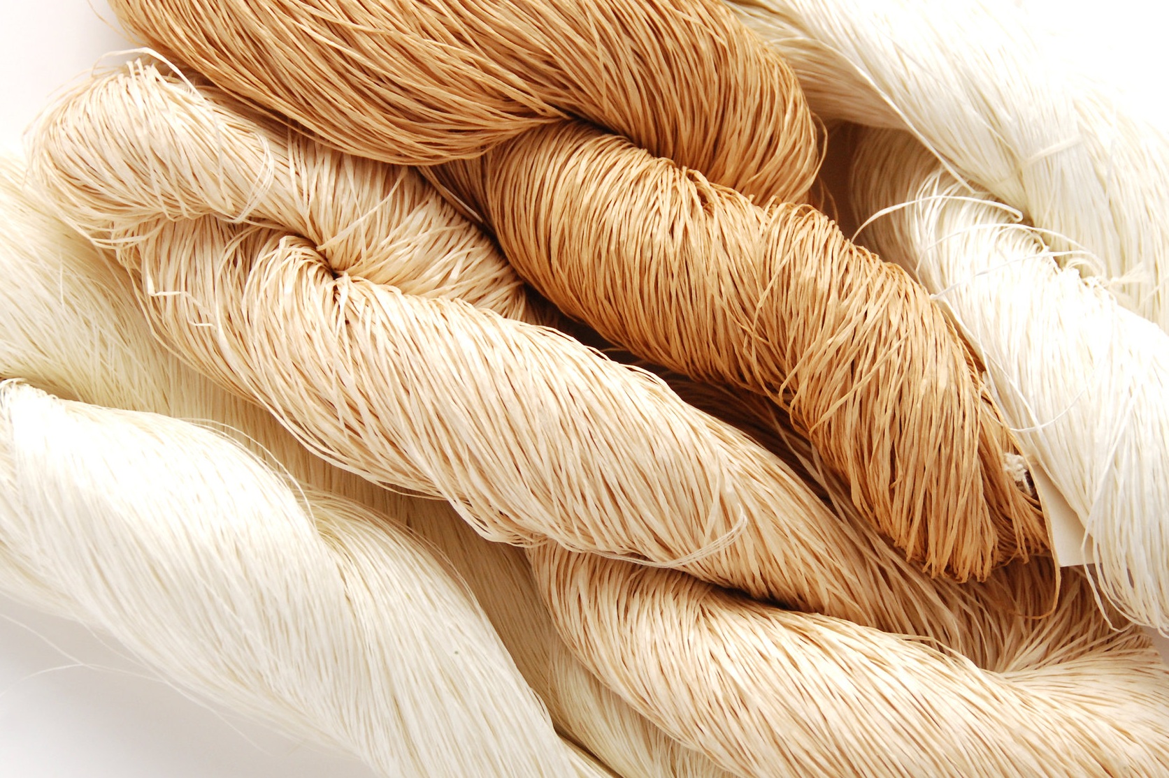 Native%26Co-Sasawashi-Workshop-sasawashi+yarn.jpg