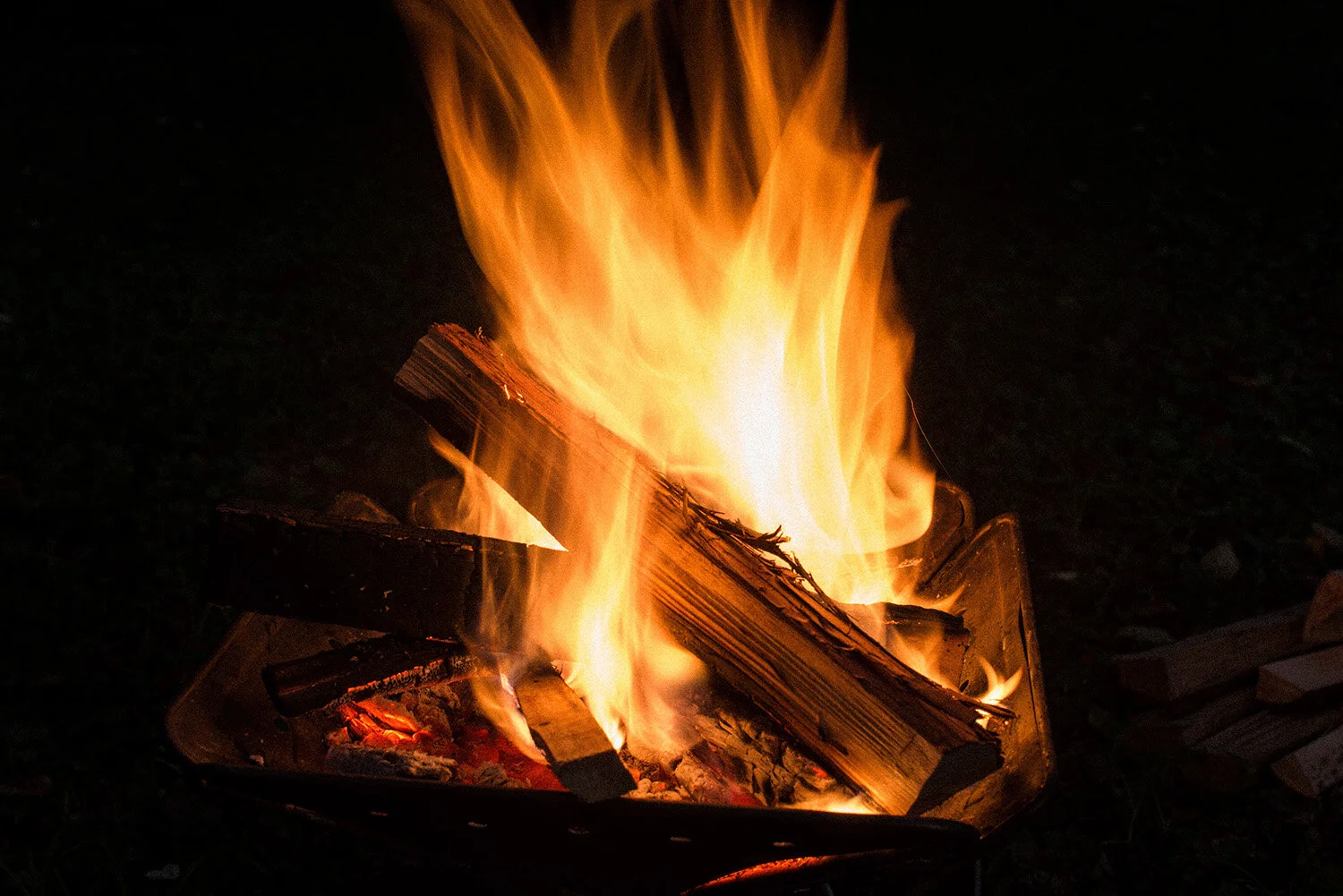Native&Co_Outdoors_5.jpg