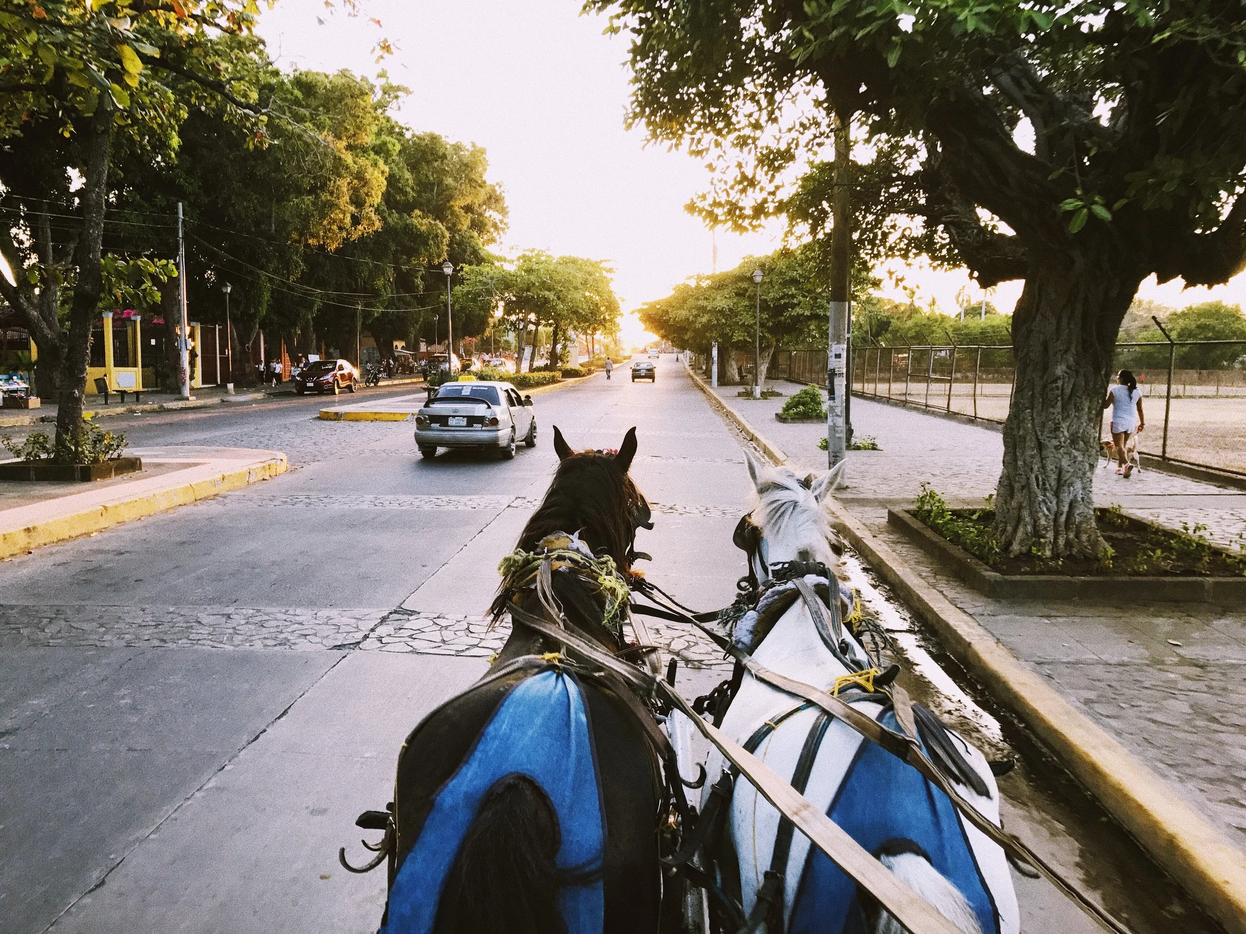 EE6DD9A4-C0FD-4420-8098-B7F969937071 2.JPG