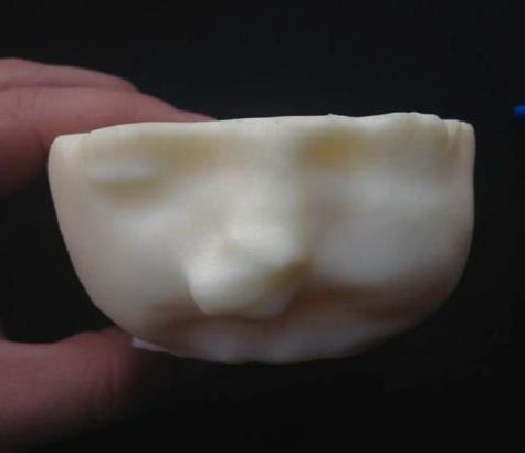 3D Printed Model Head