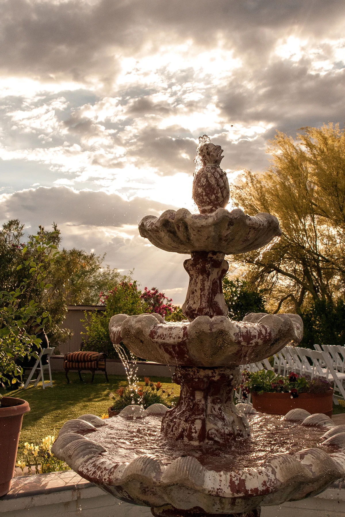 weddinprints-3.jpg