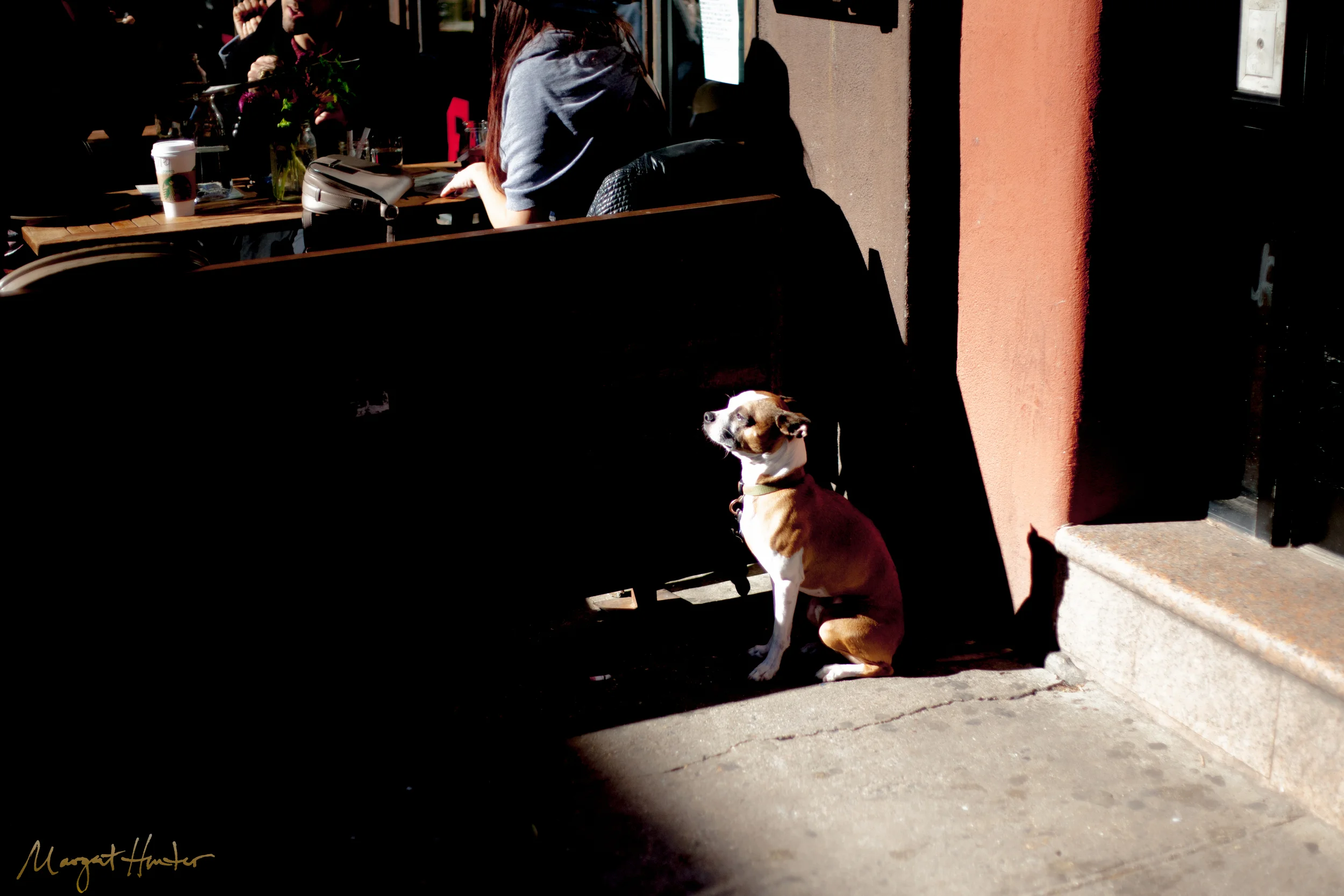 fallinnyc-12.jpg