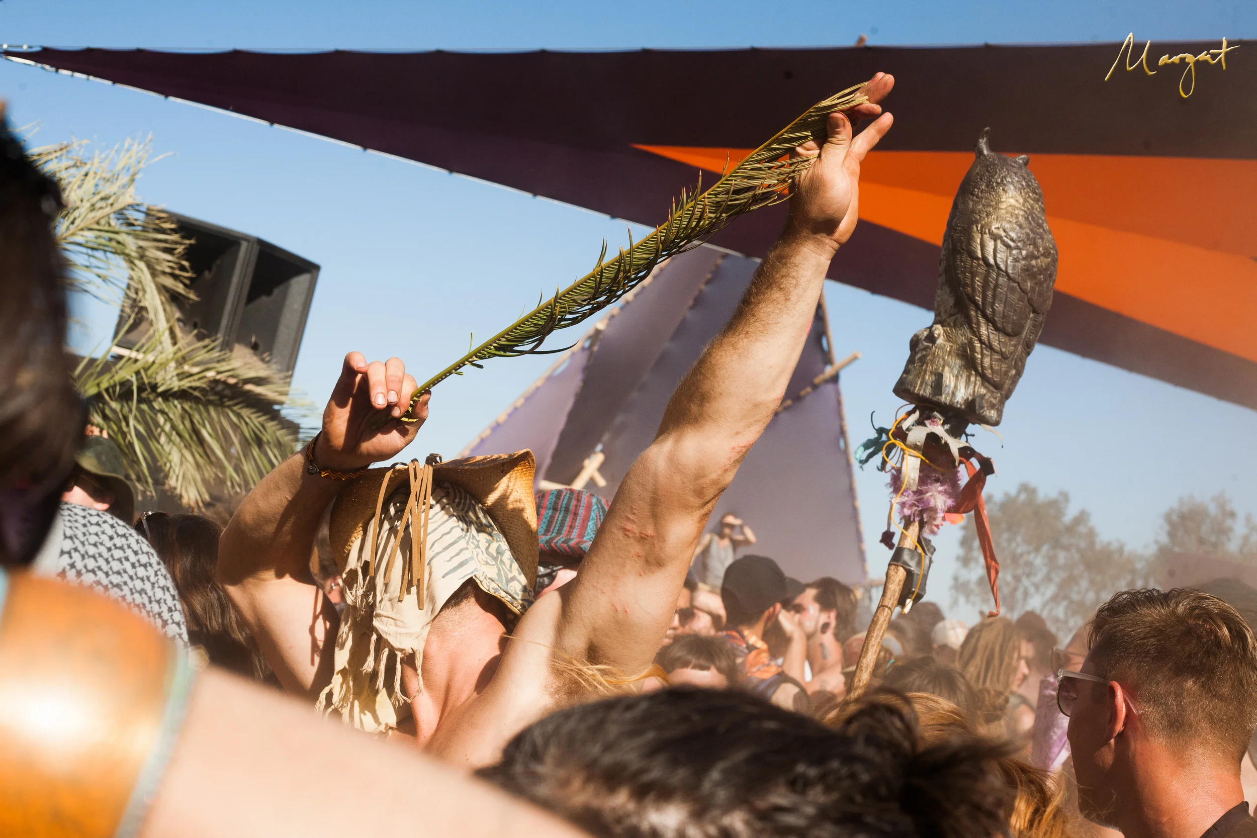 symbiosis2015-7.jpg