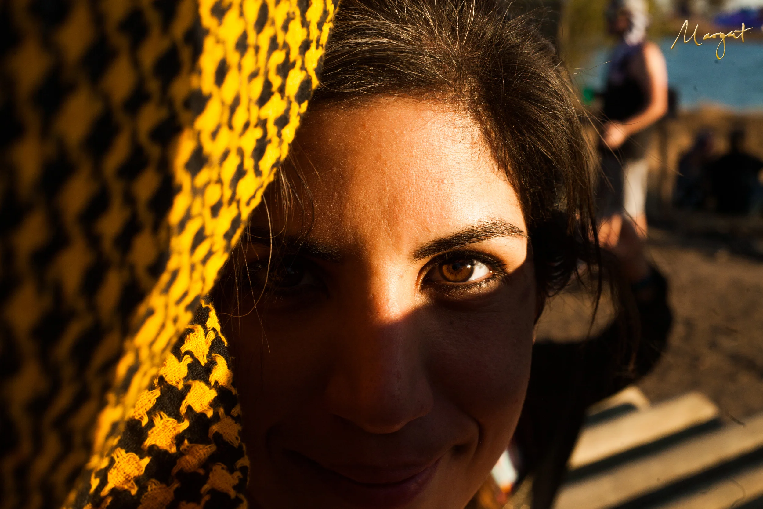 symbiosis2015-16.jpg