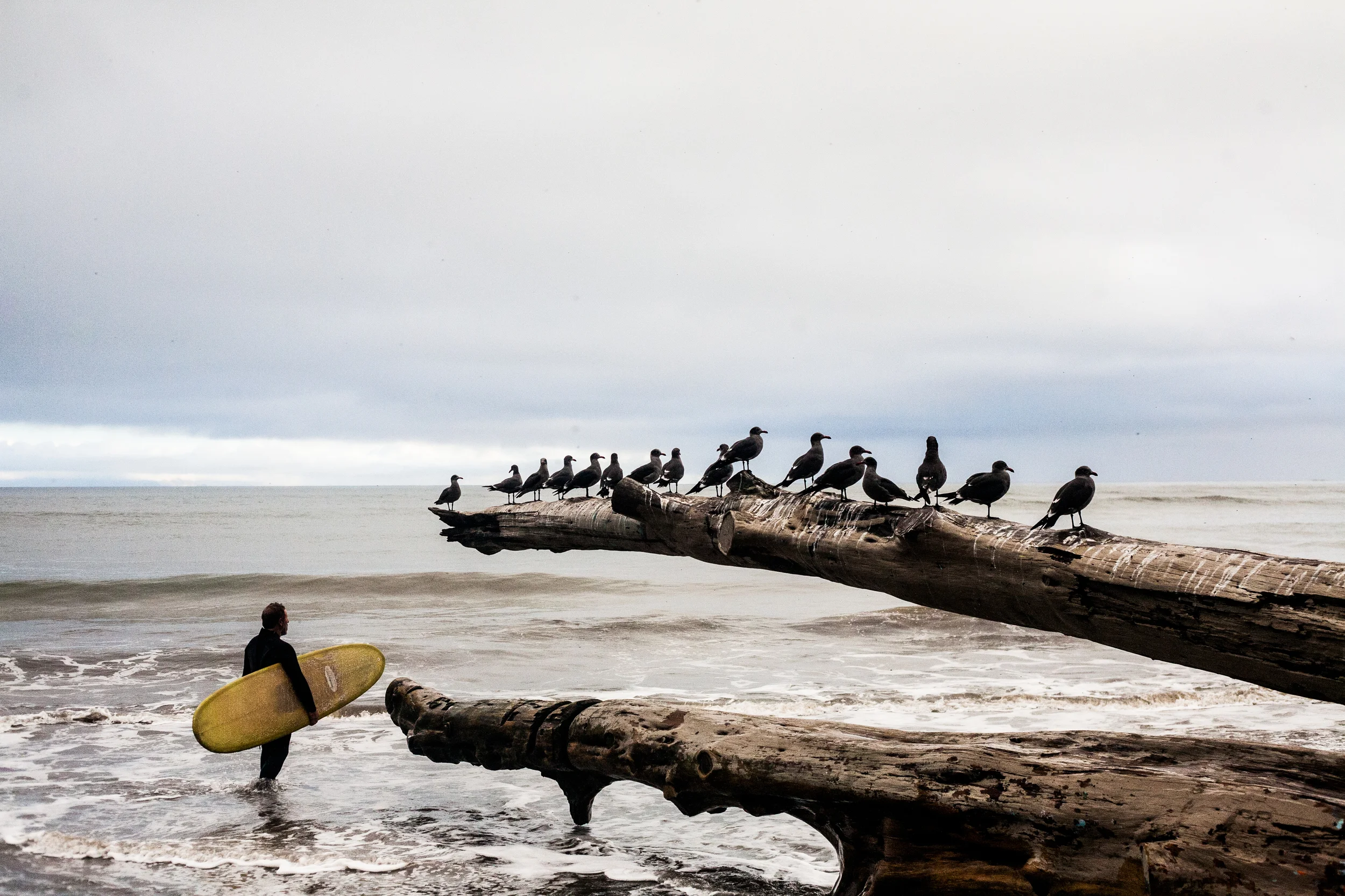 share_the_beach-2336.jpg