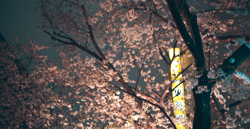 Screen+Shot+2015-05-16+at+6.01.23+PM.png
