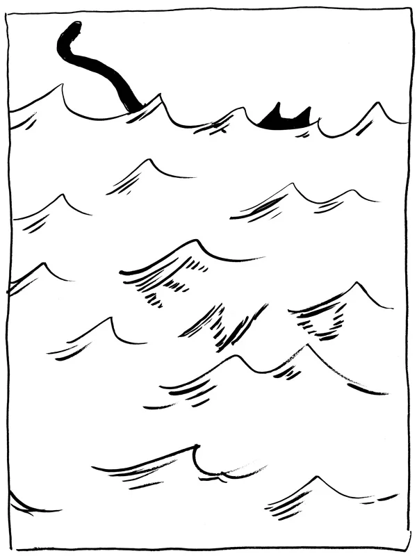 Shark_sized24.jpg