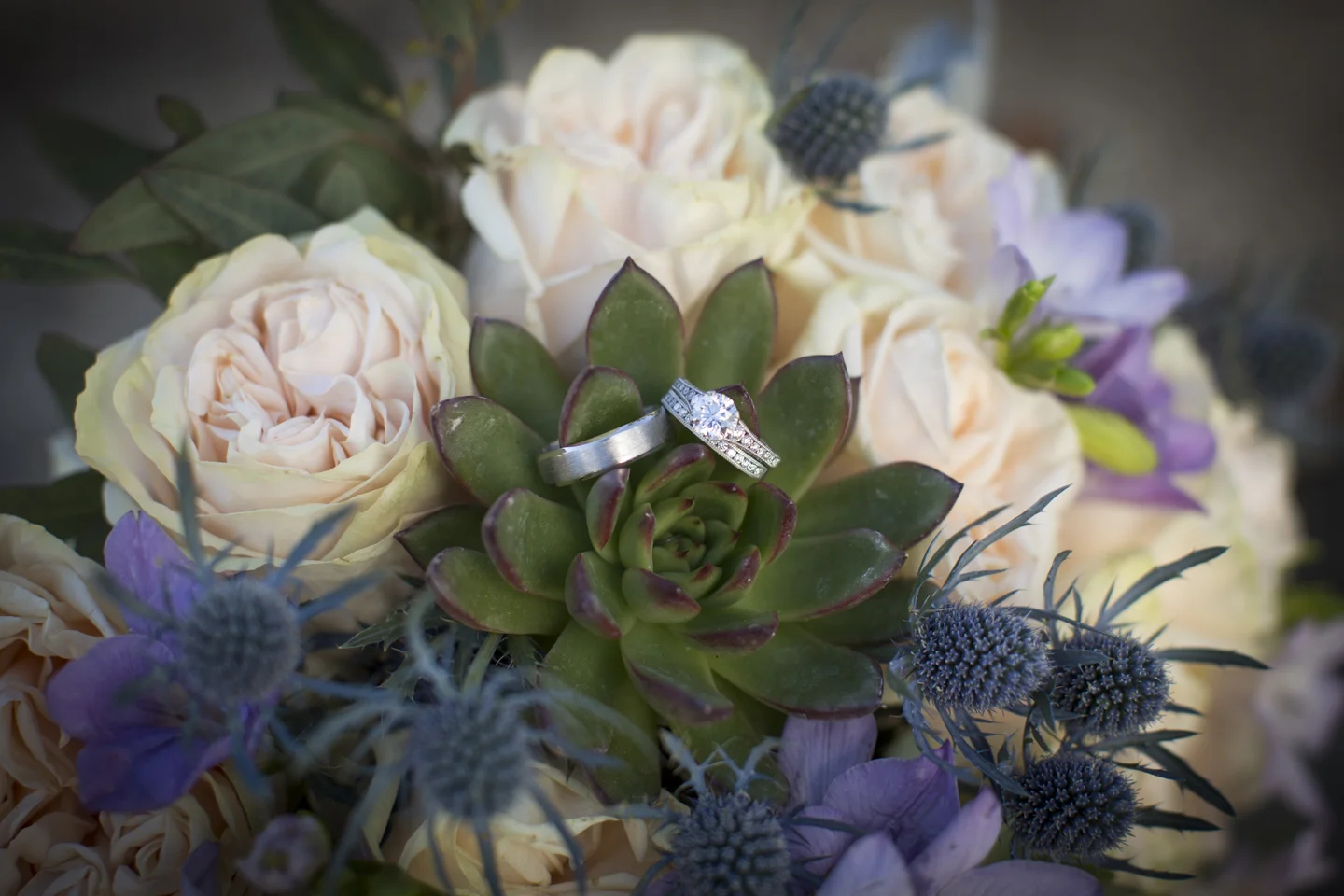 Swaner Wedding-1.jpg