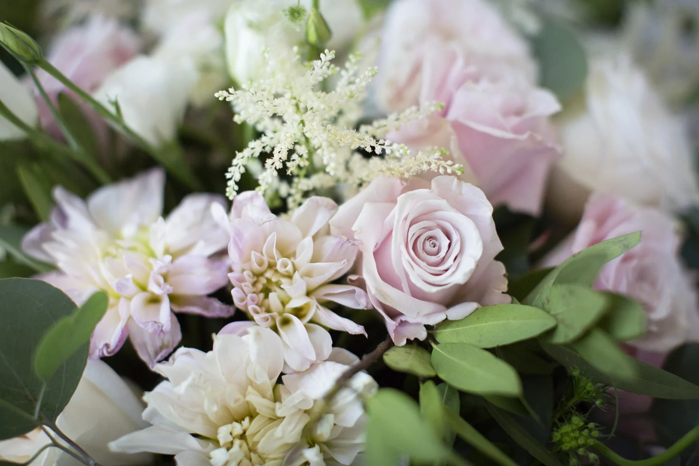 Vaughn Wedding-2.jpg
