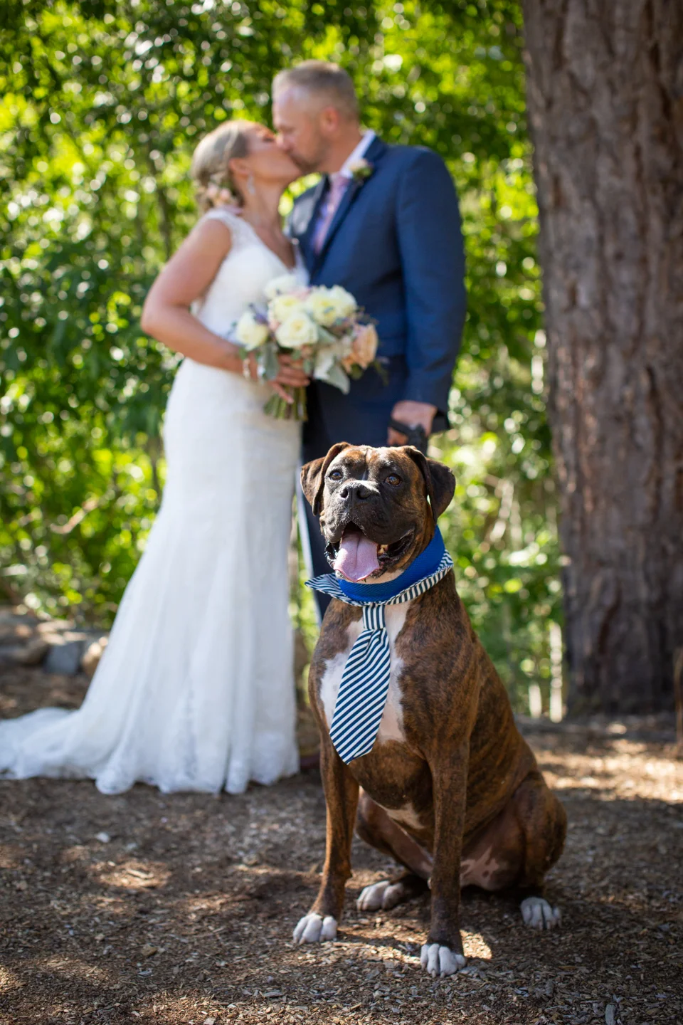 Wedding Photos-9.jpg