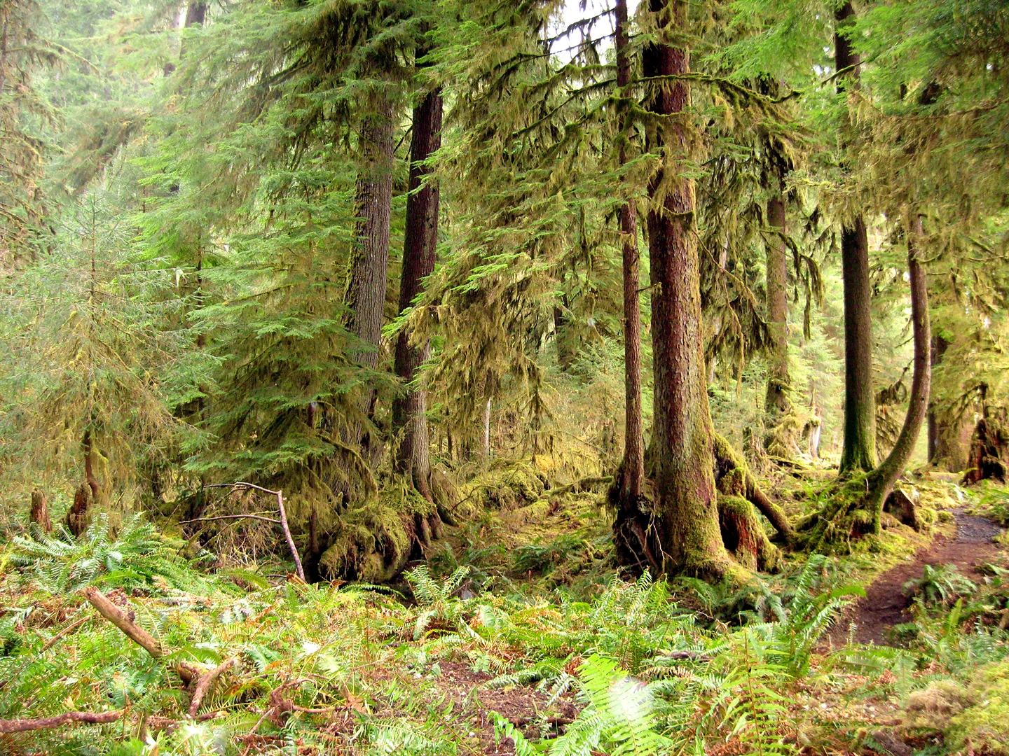 Pacific North West.jpg