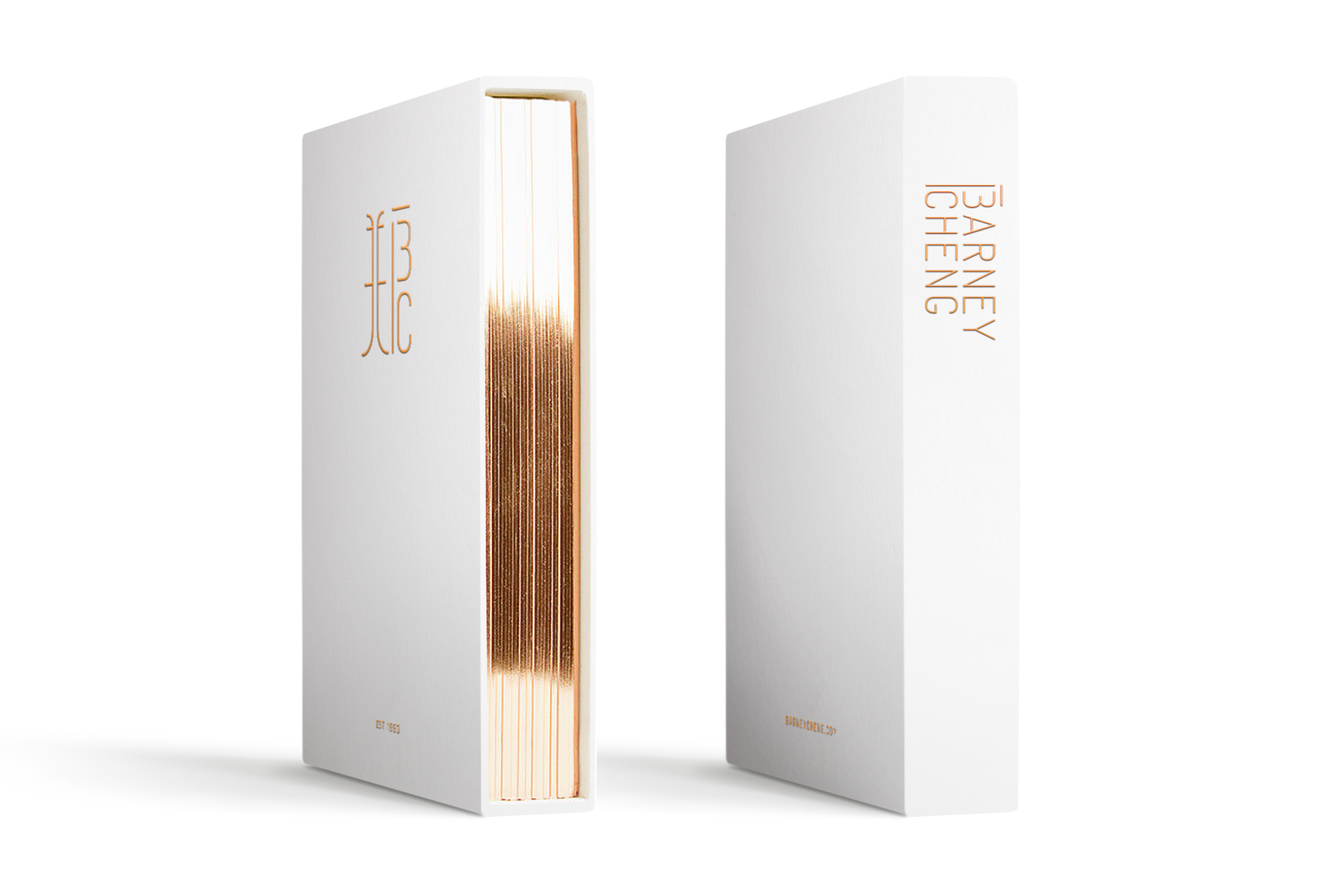 F or F_Barney Cheng_03.jpg