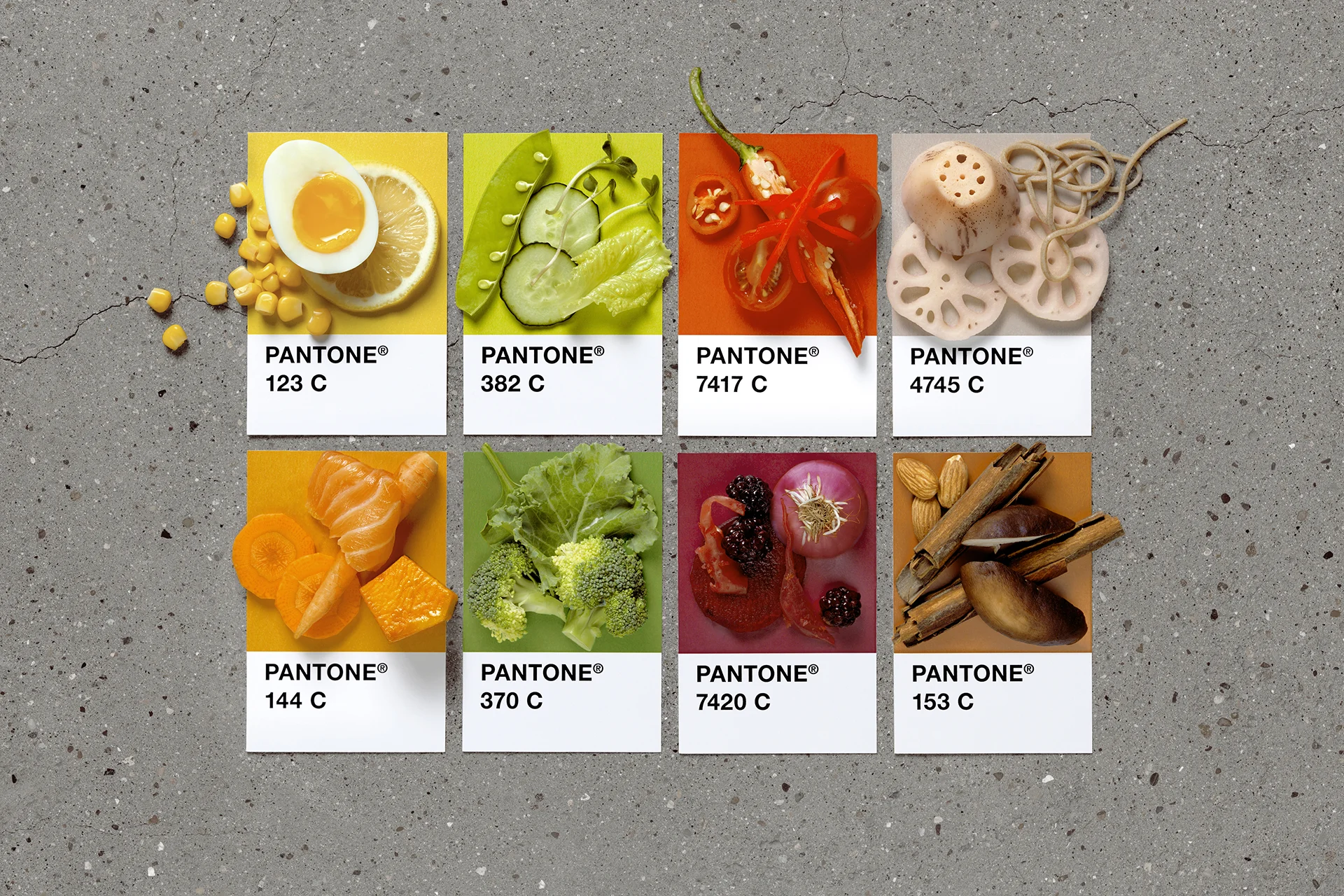 F or F_Obentos_04A.jpg