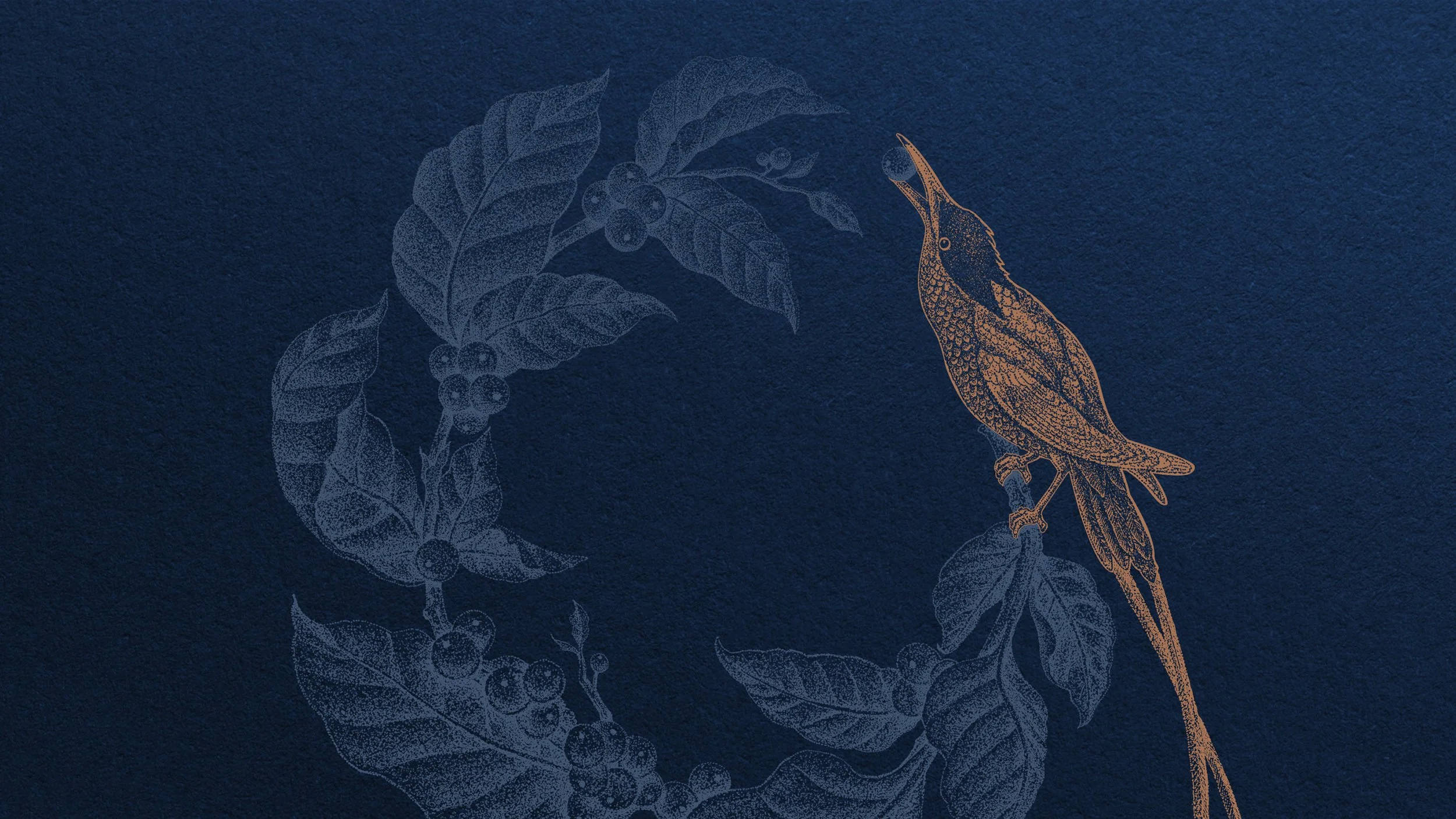 F or F_Origo Coffee_02.jpg