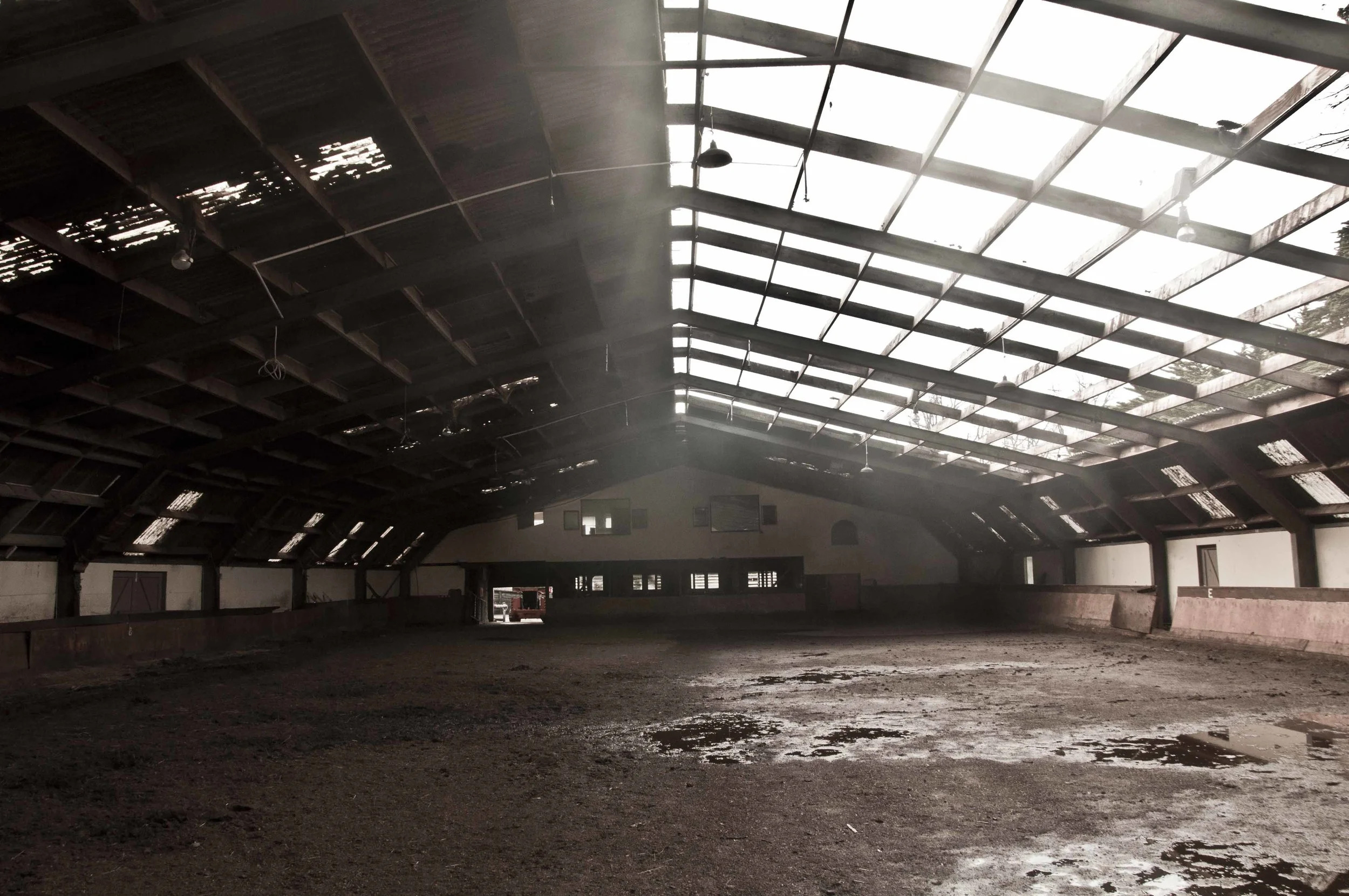 WIRS Roof 1.jpg