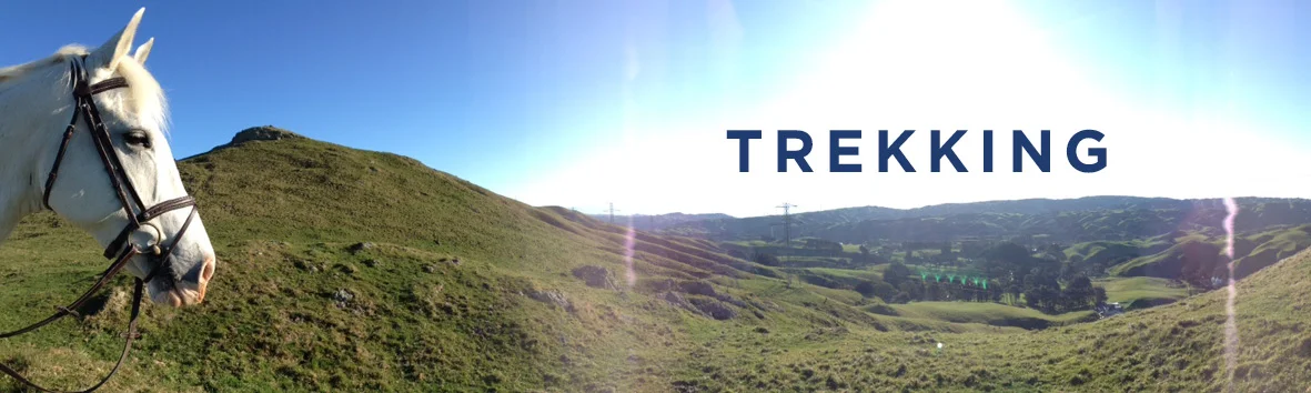 Trekking.jpg