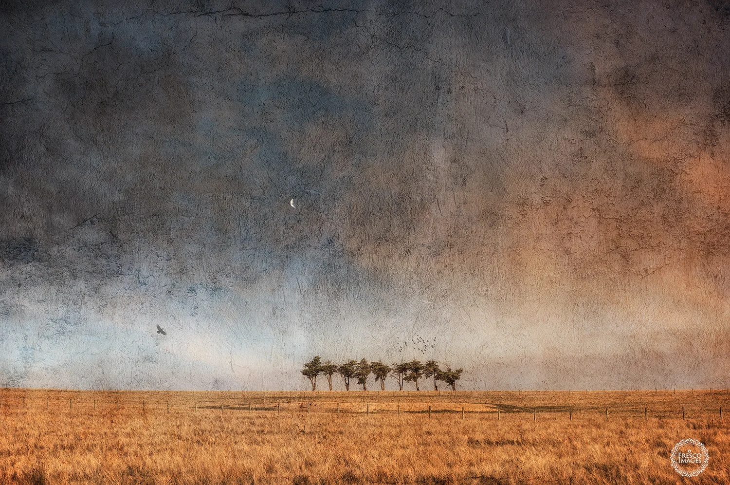 'Yarra Valley Treeline'