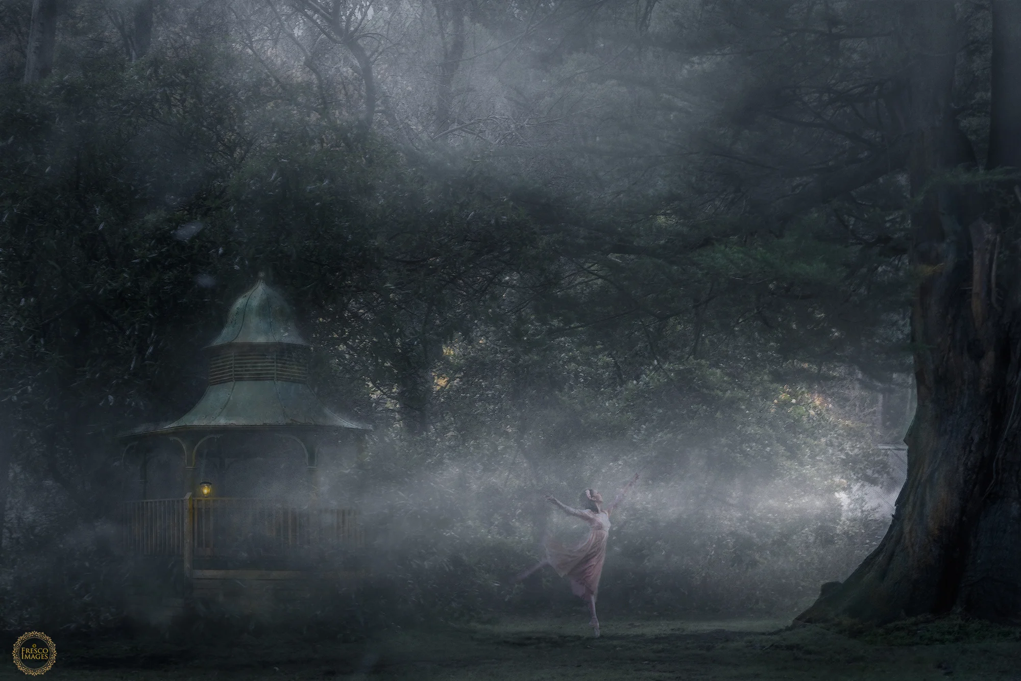 'Ballet in the Mist'