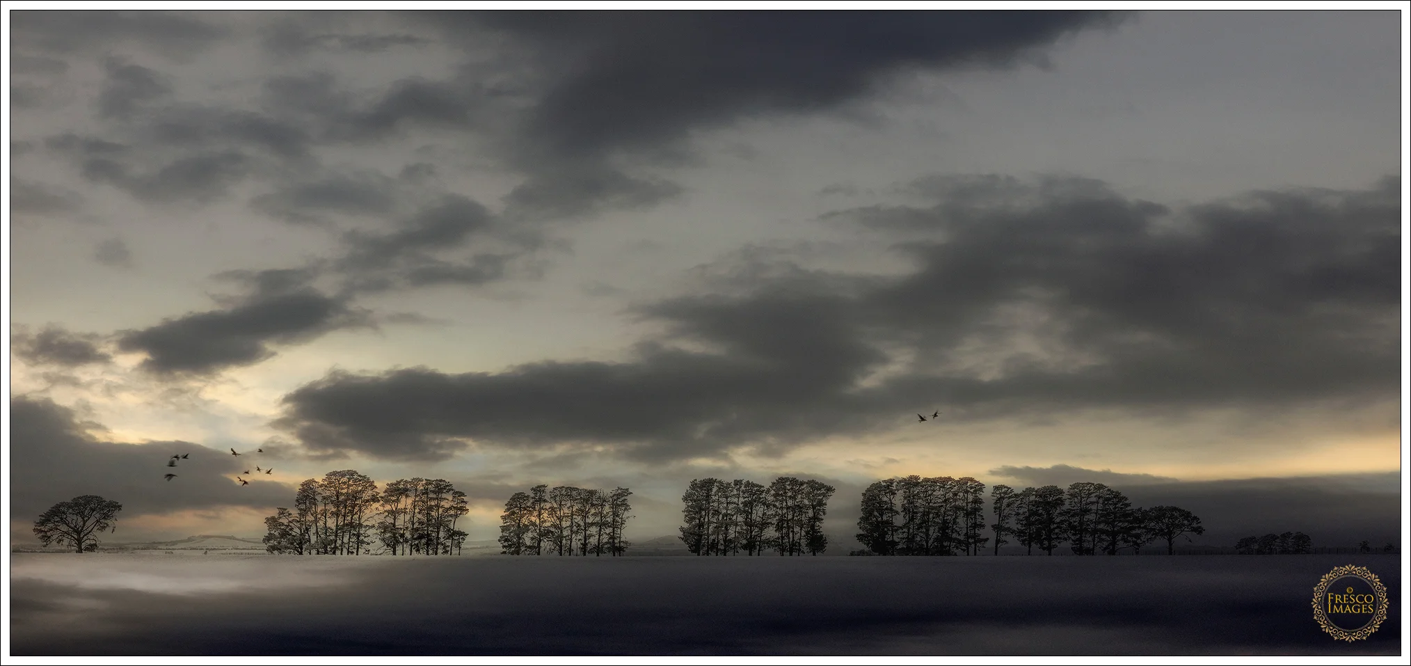 'Morning'