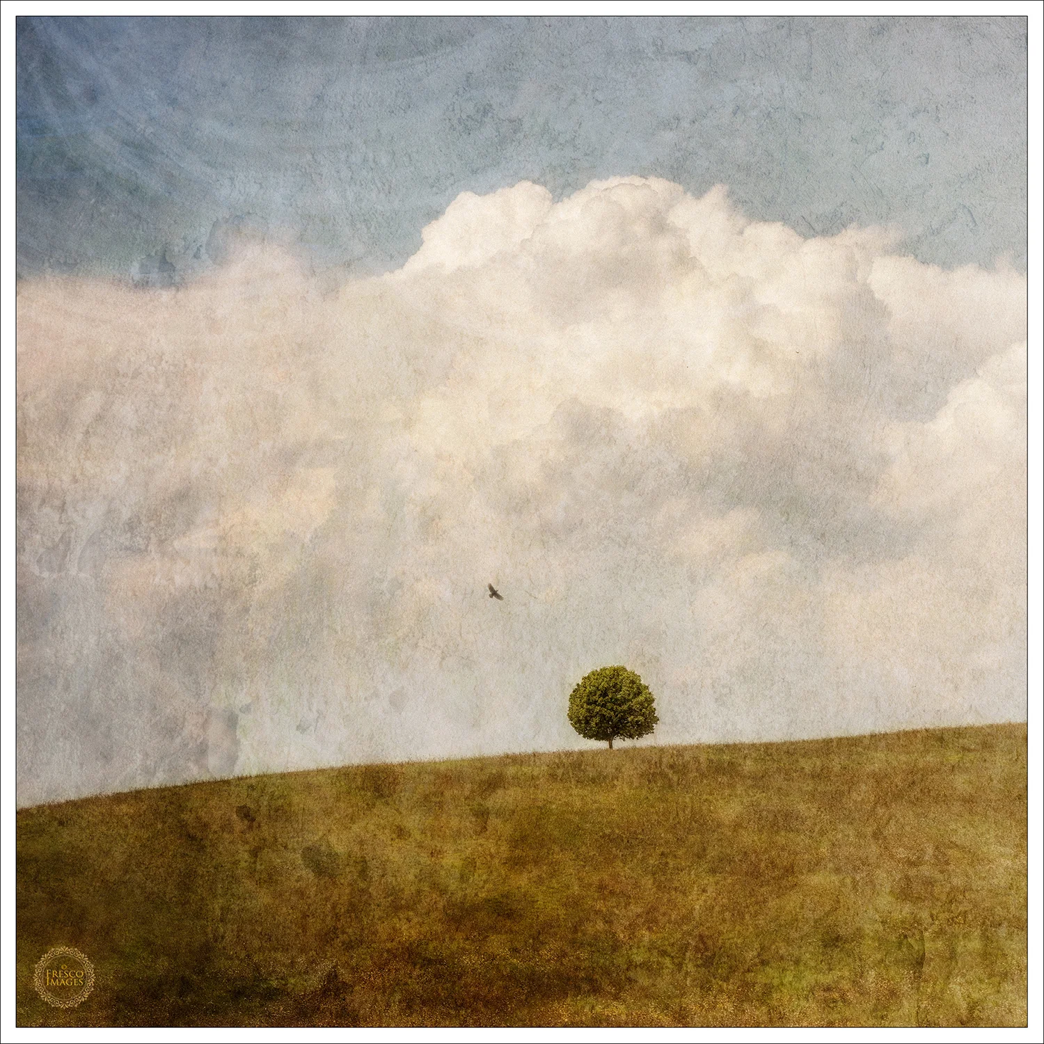 'One' - Montone, Umbria