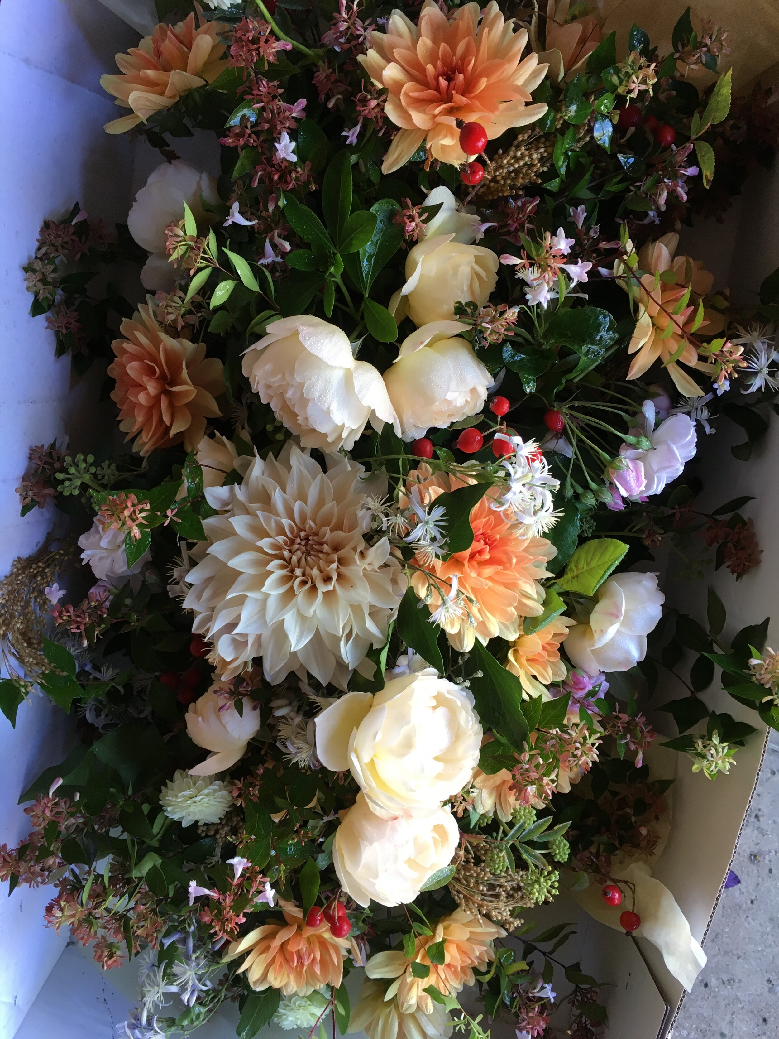 COFFIN FLOWERS, ROSES AND DAHLIAS