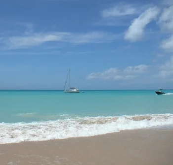 My Memories Antigua Shells