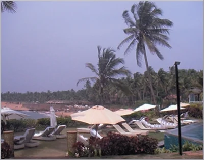 Relaxing in a paradise 