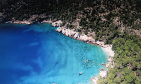 FT bay view blue.jpg
