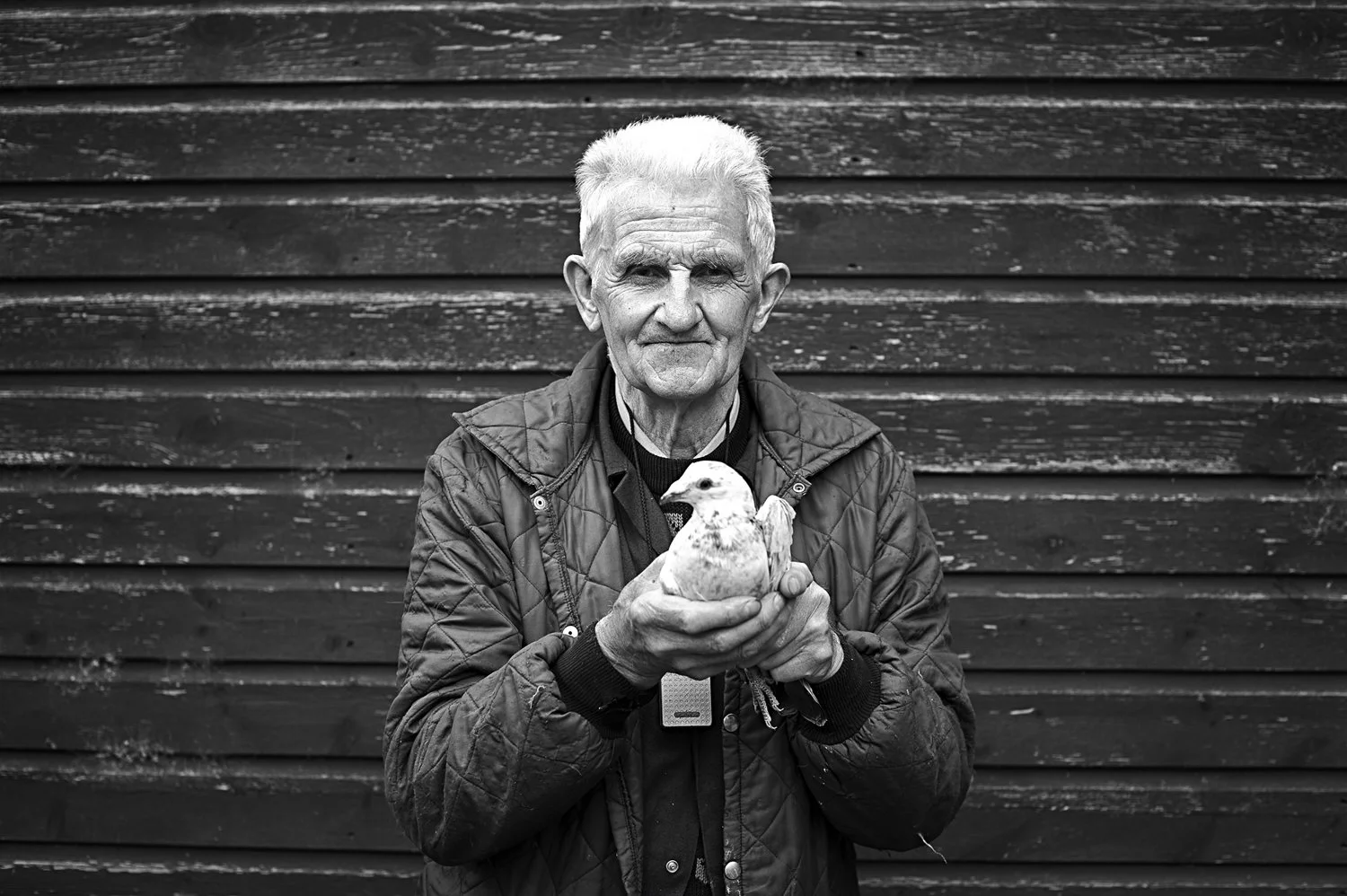 Fancy That, Unititled 003.JPG