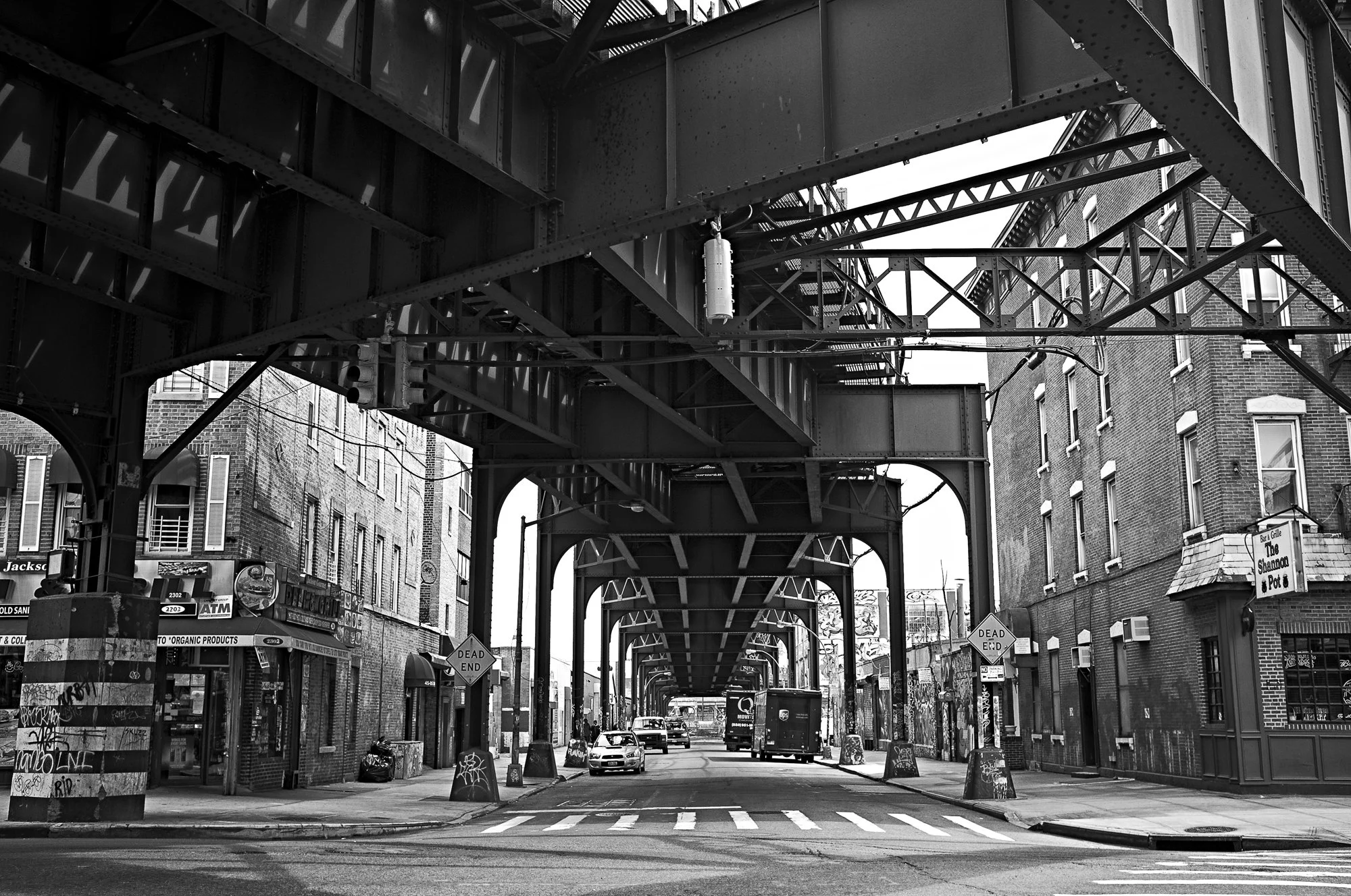 NY50.jpg