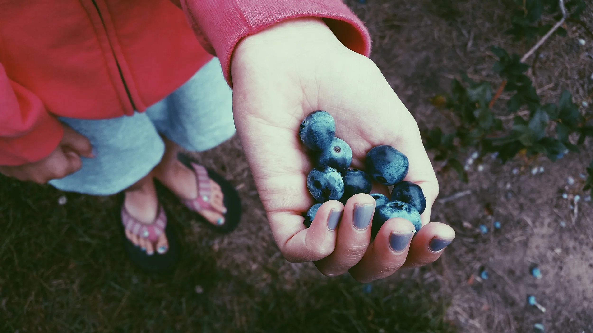 2014-07-28 11.18.20 1.jpg