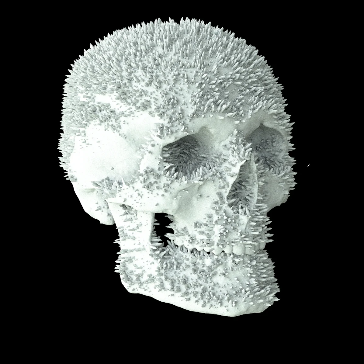 CINEMA 4D_2017-01-24_16-19-03.jpg