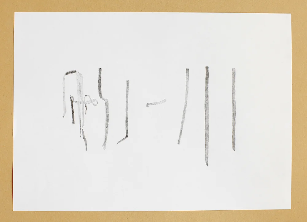 Untitled 2011 Pencil on paper 21 x 30 cm 