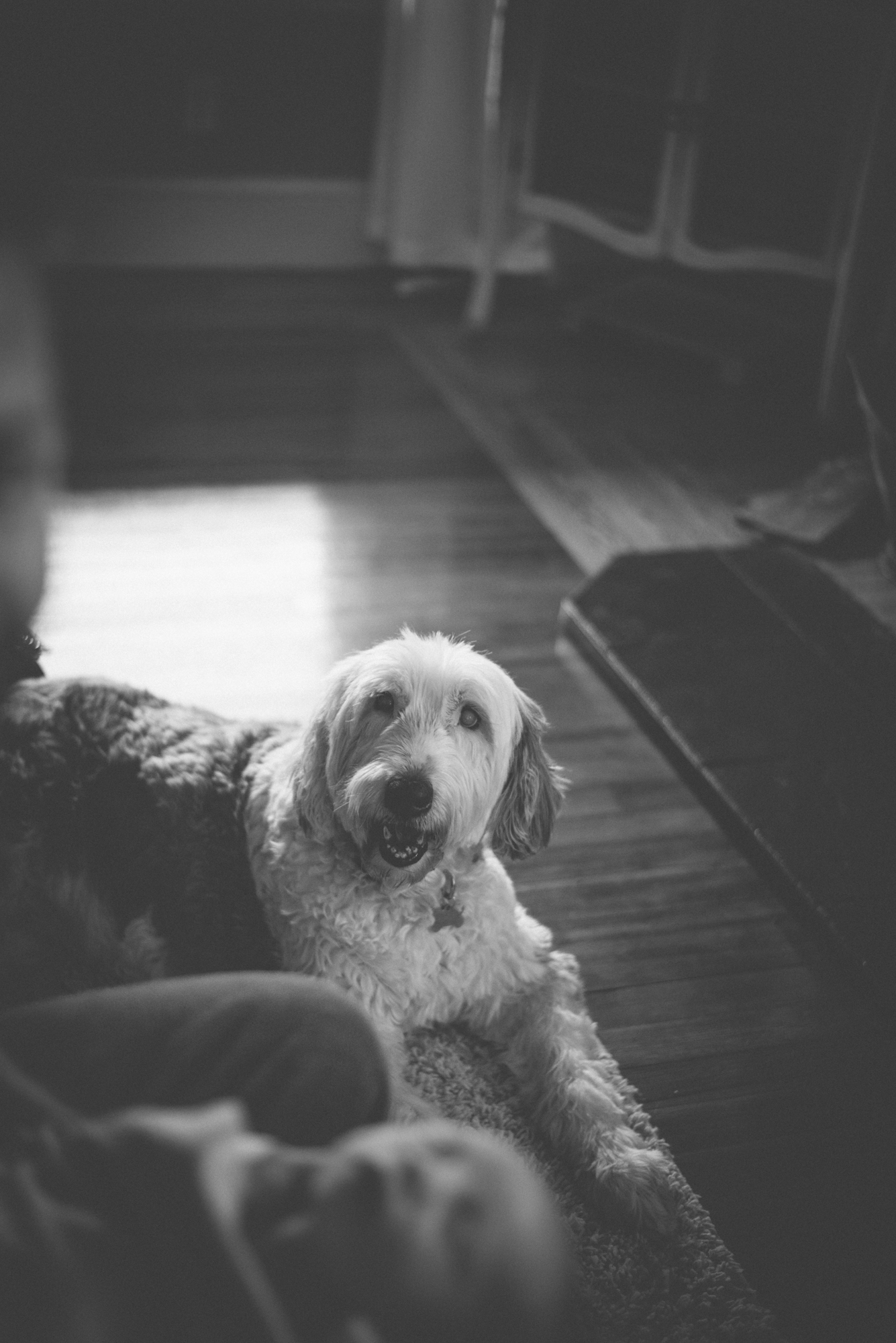 DSC_4736.jpg