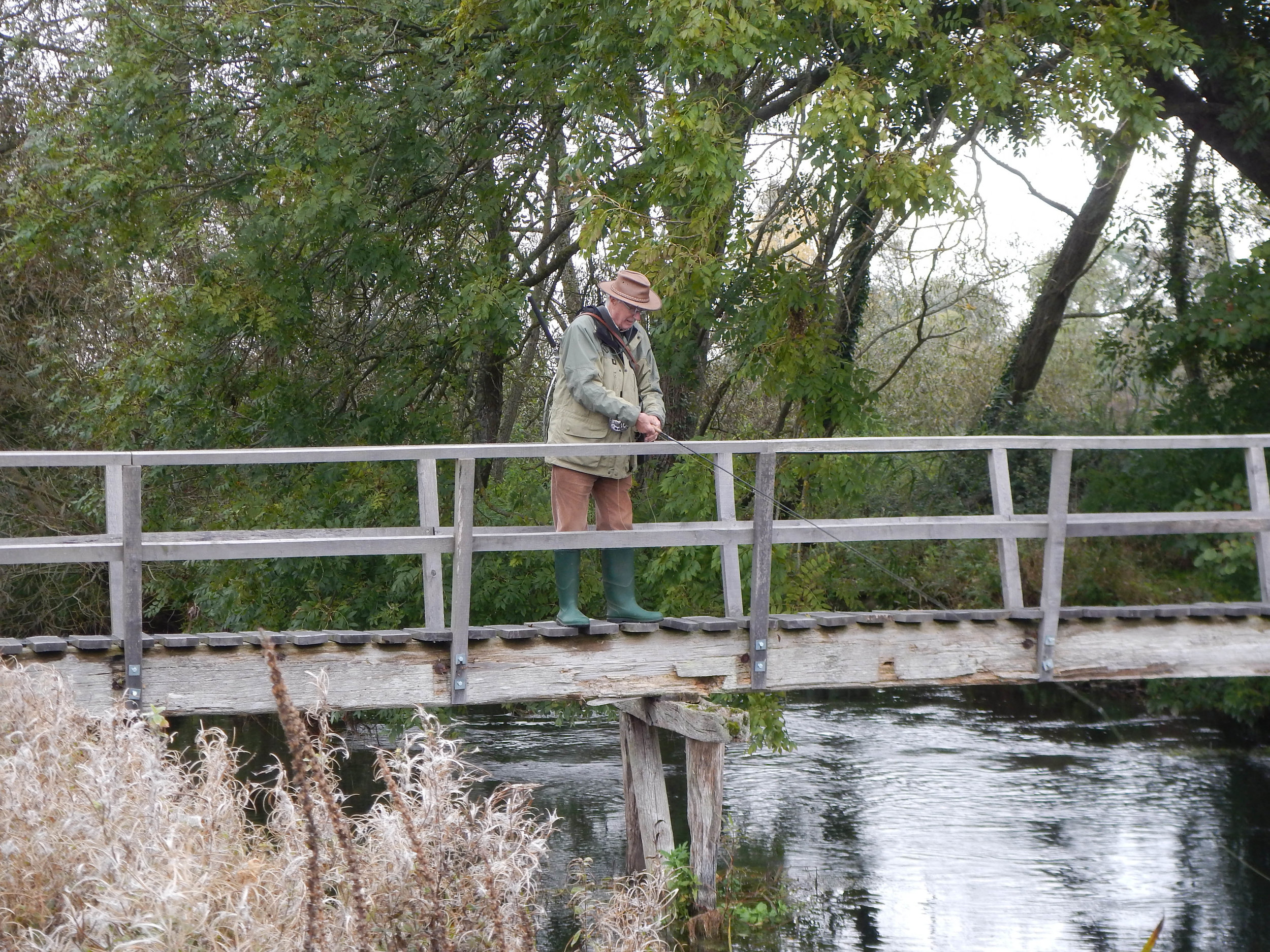 Where's that Salmon - David Gould