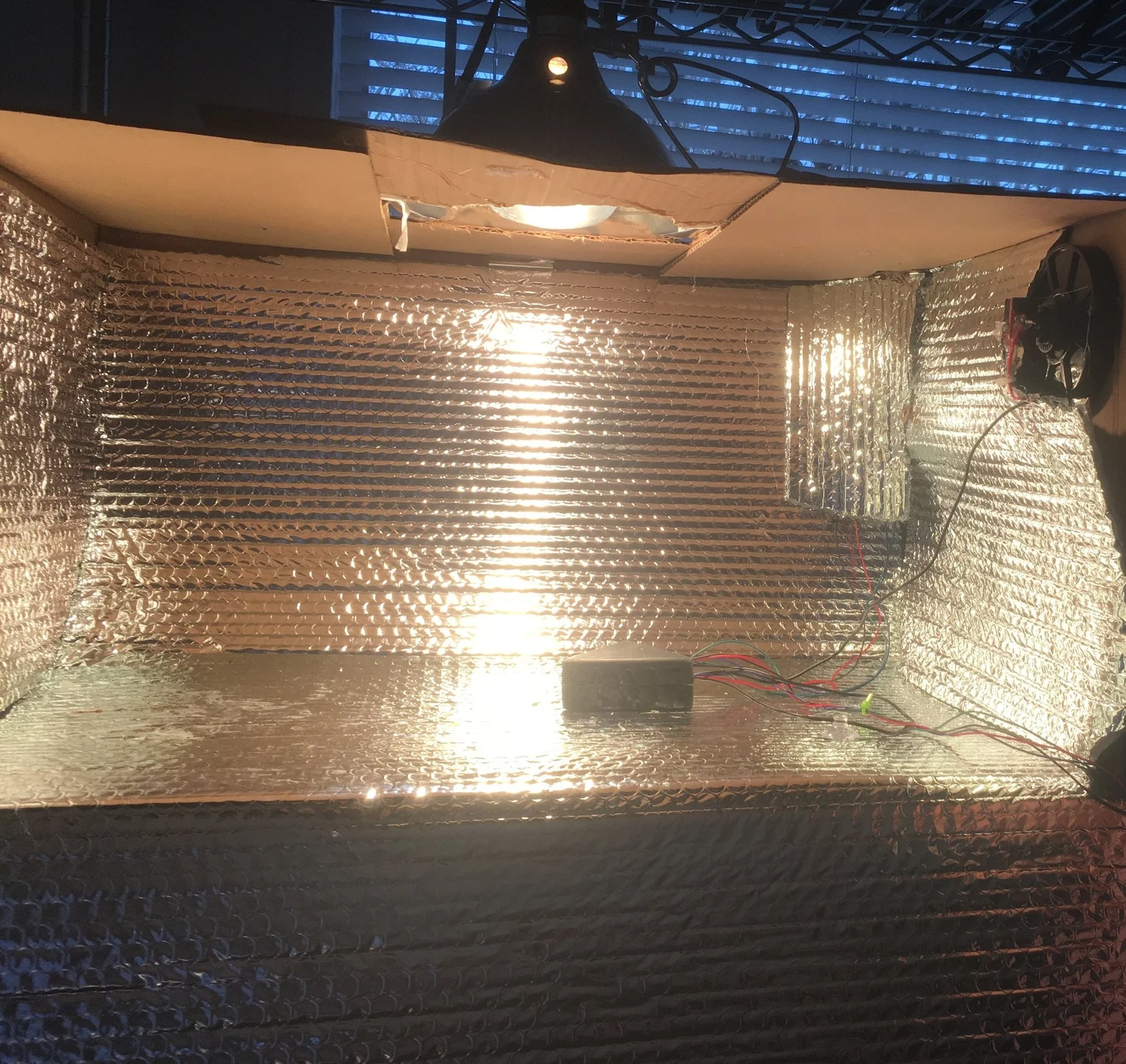 The Delorean Soap Curing System