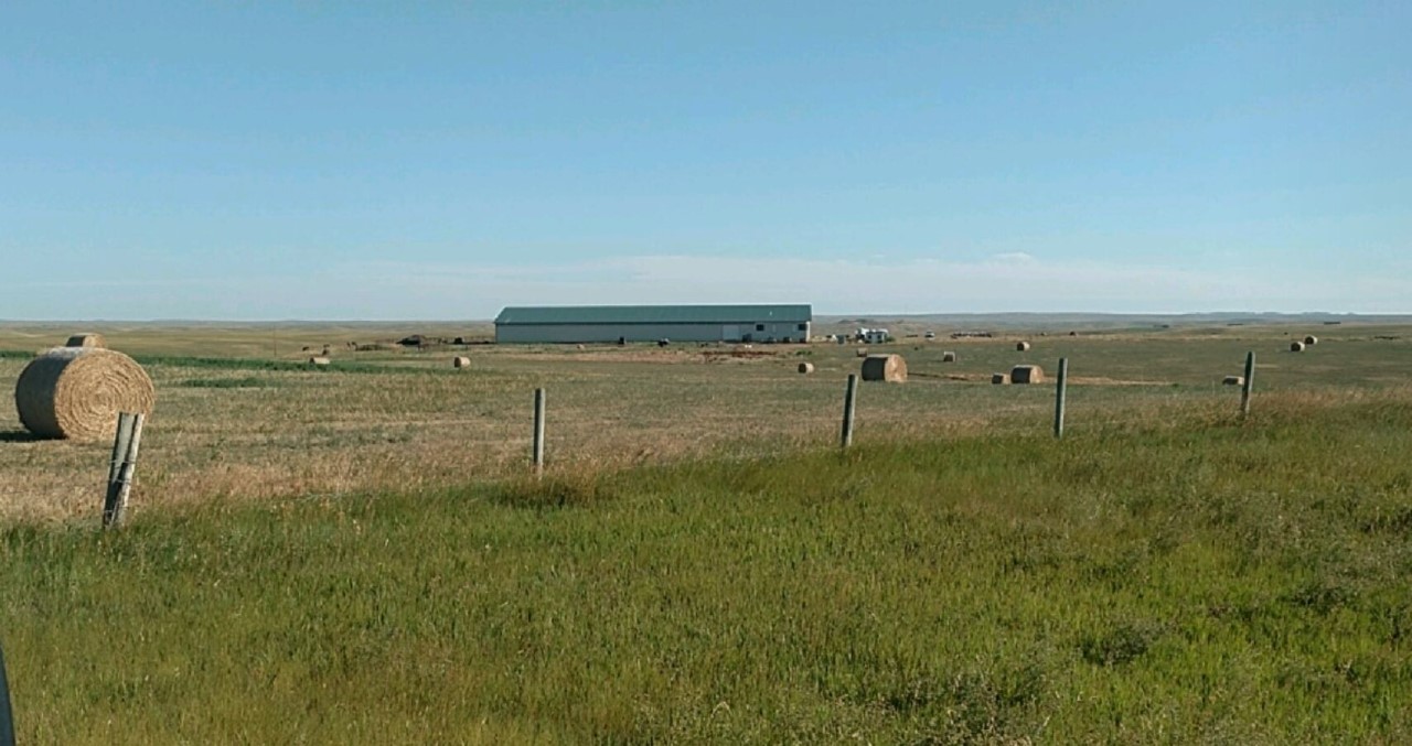 A 200 x 100 riding barn that is 1/2 mile from BIA 8 Road can't be missed. This is where we call home.