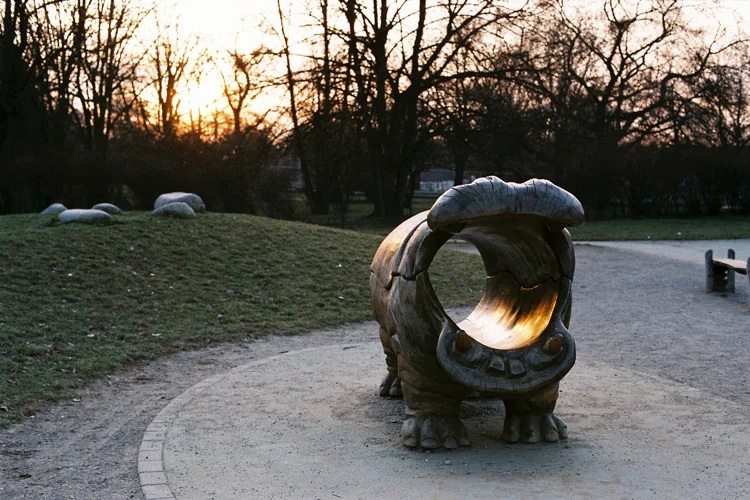 Nikon FM2 Experience