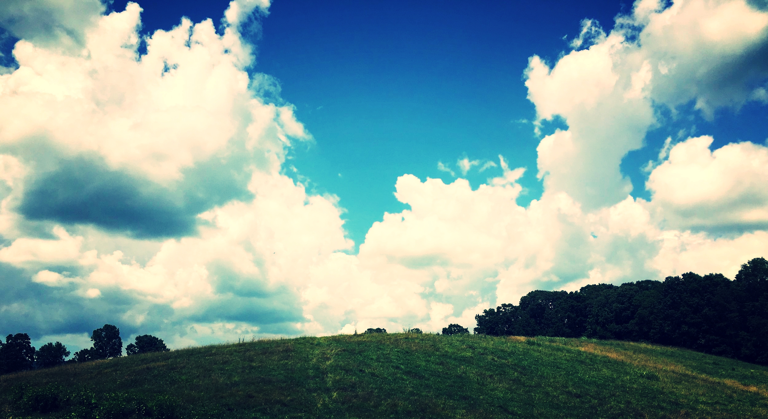 The sky's the limit... For now.
