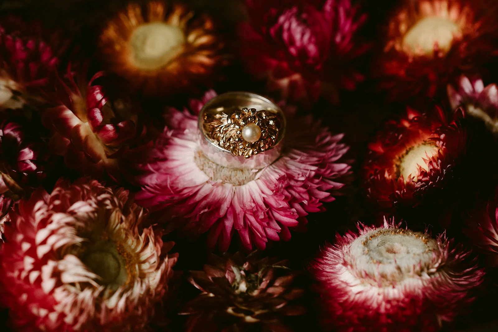 Colin + Ciara_Barnstar Events_08 11 2018_0038.jpg
