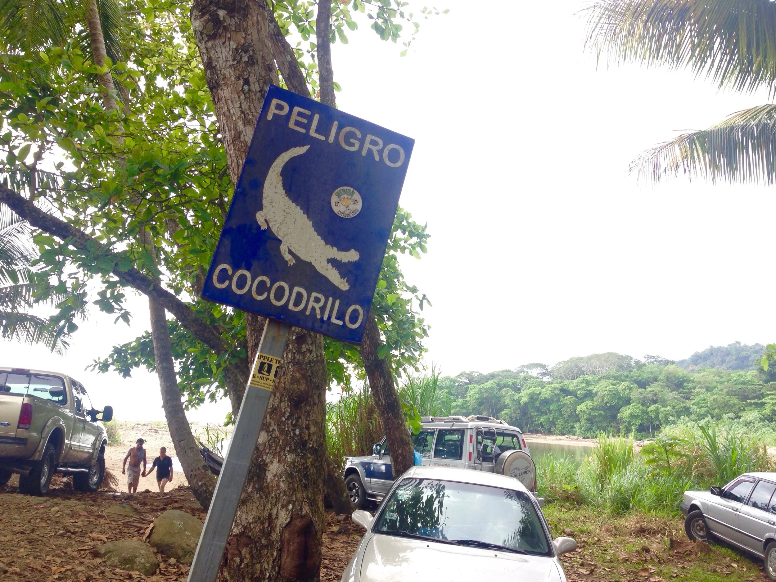 A walk along that same road also led us to crocodile territory!