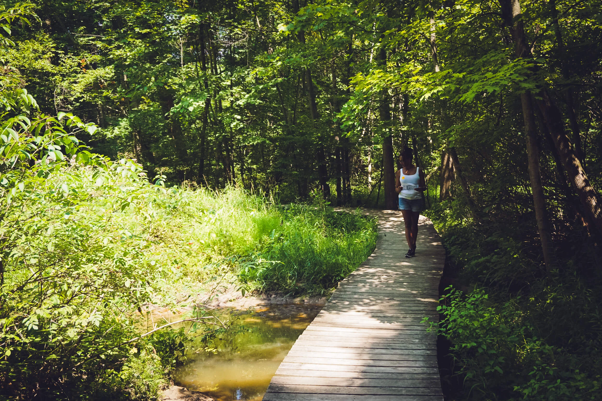 Photo Story Visiting The Blandford Nature Center in Grand Rapids