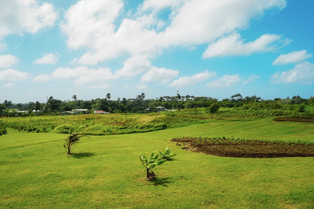 The Best Barbados Vacation Guide What To Do in Barbados