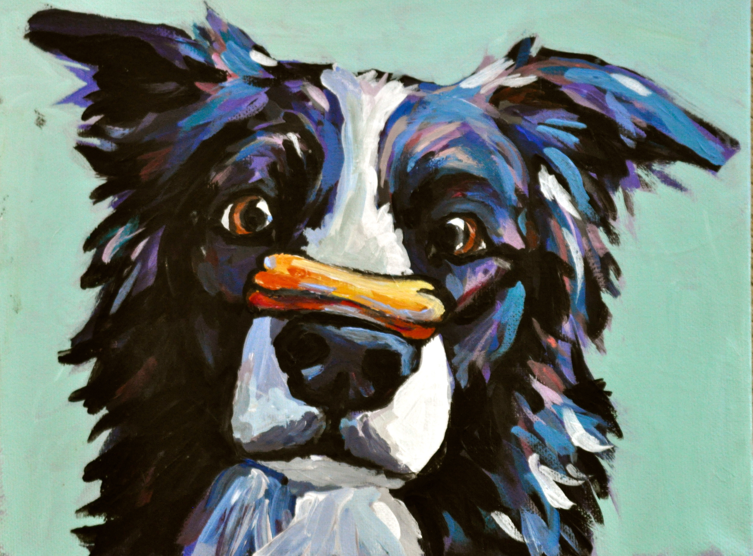  Border Collie  Acrylics  8x10 