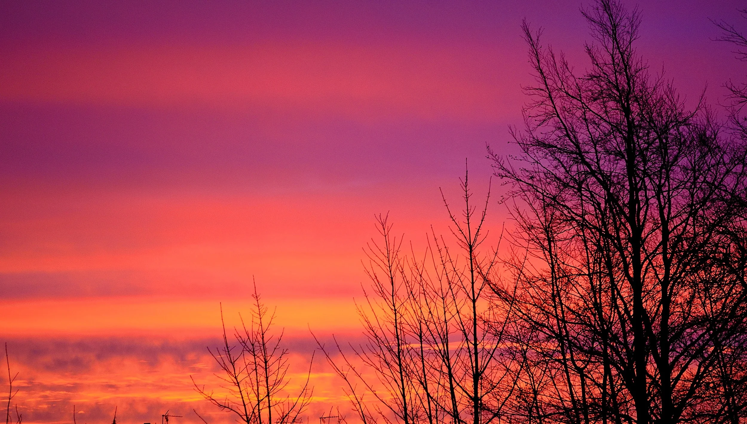 sunrise-21228.jpg