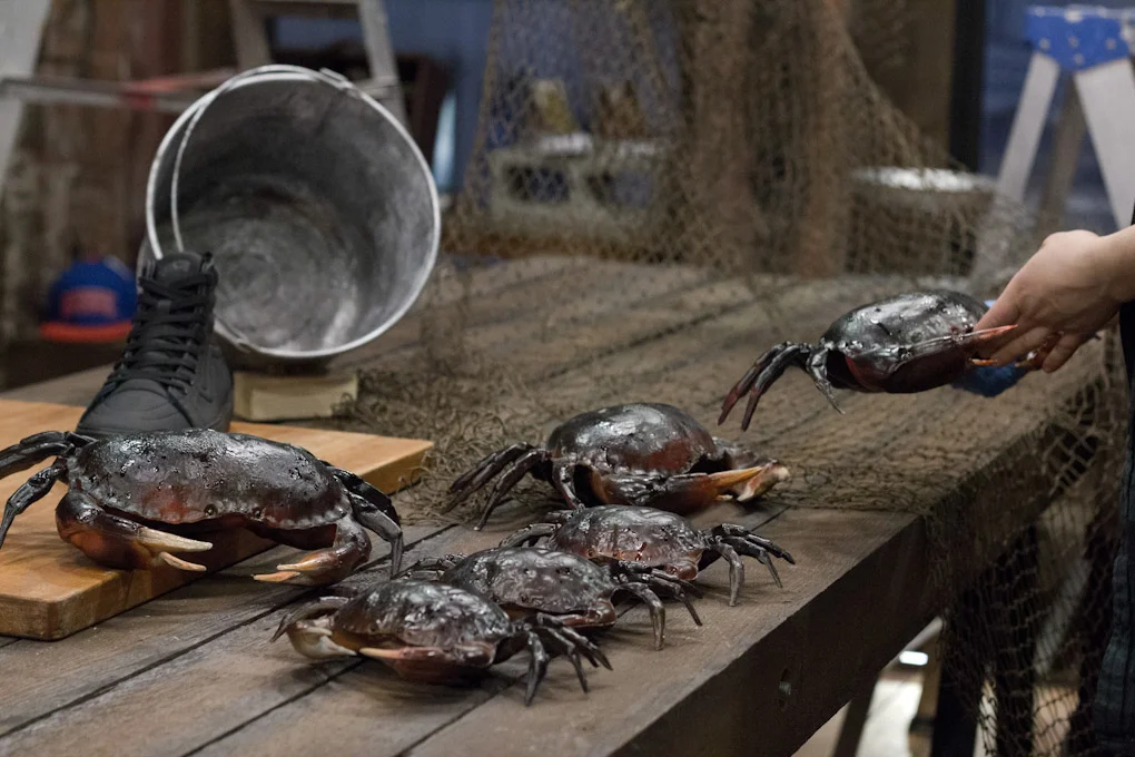blackcrab_makingof-16.jpg