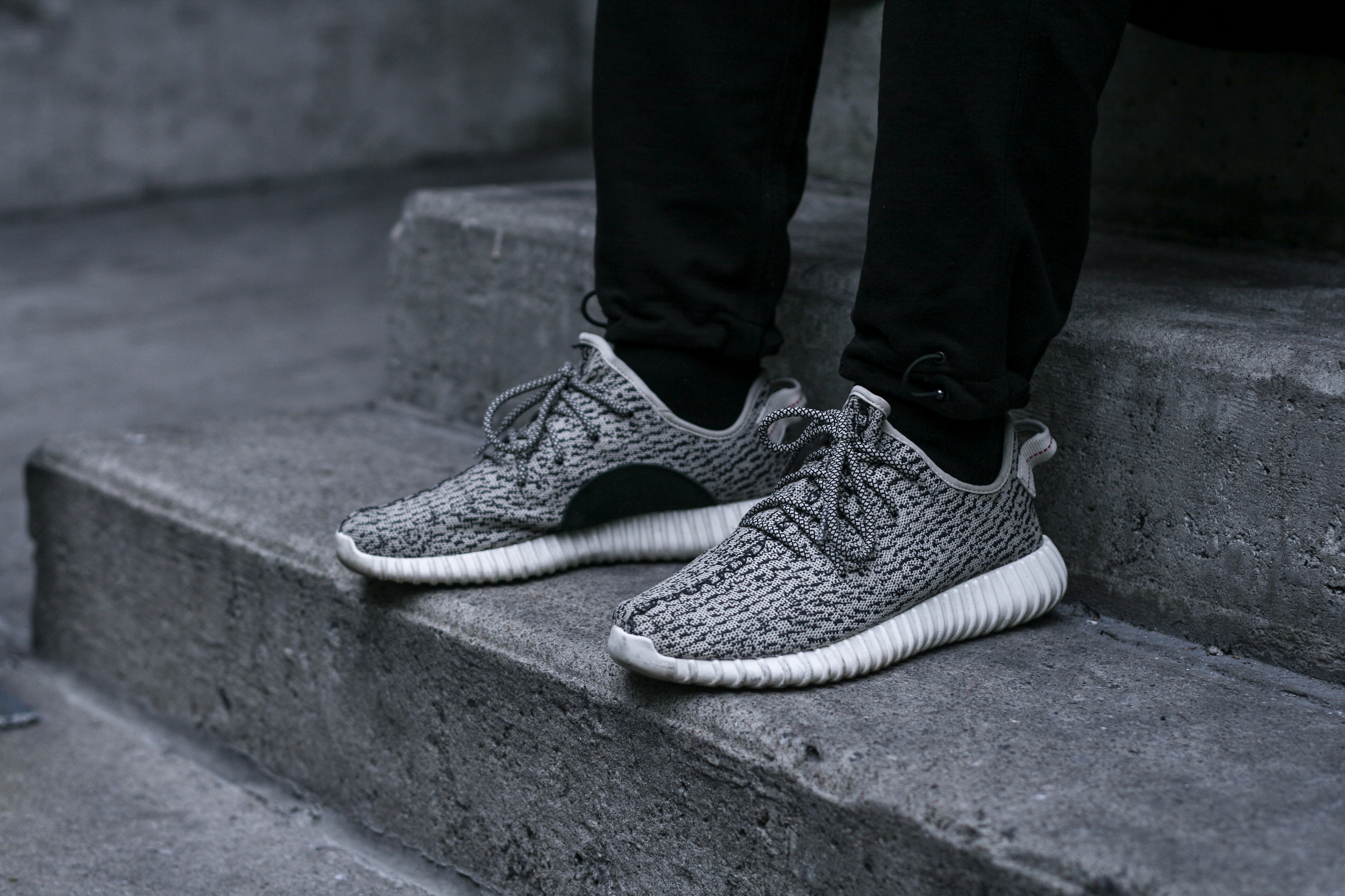 1. adidas Yeezy Boost 350 Turtledove