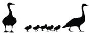 Goosey Gander Preschool 
